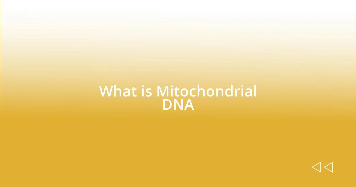 What is Mitochondrial DNA